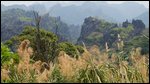 2 Laotian landscape