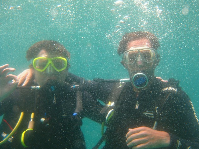 M, S & Z diving