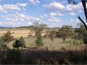 Myall Creek Reconciliation Site